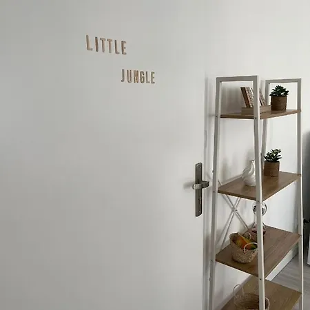 Little Jungle - T2 Avec Parking Apartment Vierzon Exterior photo