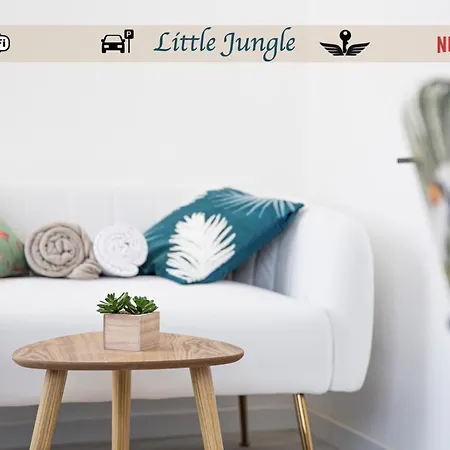 Little Jungle - T2 Avec Parking Apartment Vierzon Exterior photo